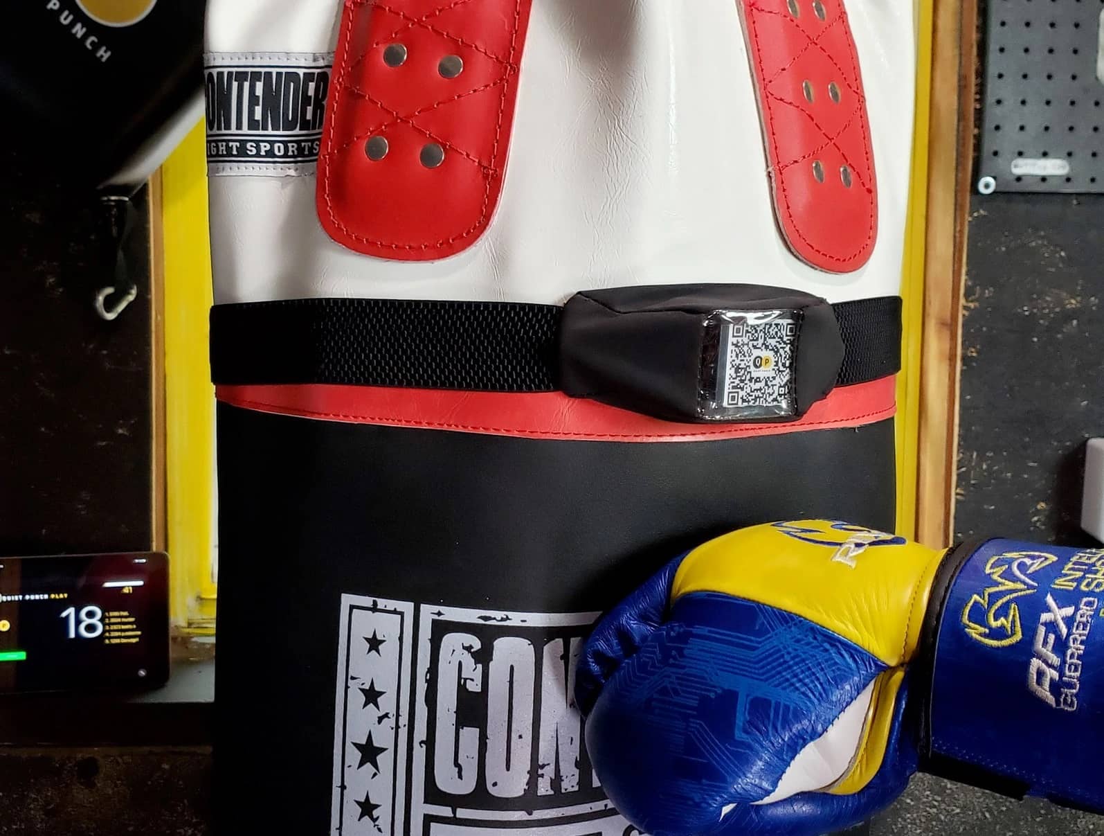 Quiet Punch orders Smart Boxing Pad w/ tracker and gloves